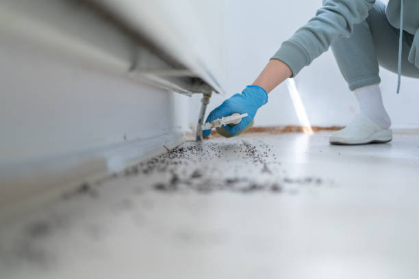 Best Exterminator Services  in Questa, NM
