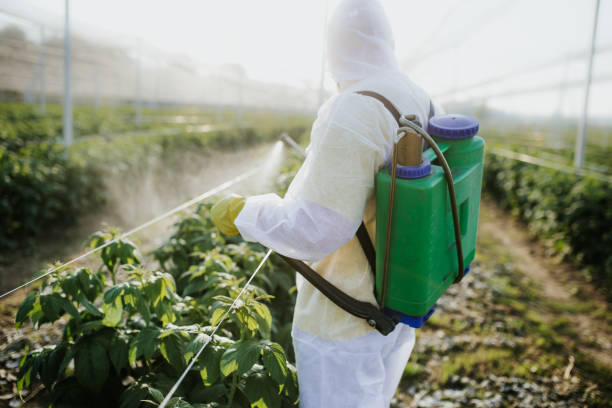 Best Emergency Pest Control  in Questa, NM